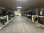 Twin Acres<br/>BRAND NEW Premier Hunter Jumper Equine Facility has openings