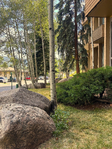 Vail<br/>ONE BEDROOM WITH VIEWS