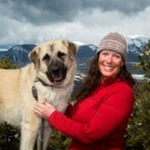 Silverthorne<br/>OWNER FINANCING AVAILABLE!