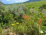 Steamboat Springs<br/>Affordable Land for Sale