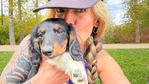 Longhair Dachshund AKC pups!<br/>DNA Tested AKC registered trained pups! 11 wks old!