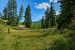 Basalt<br/>123 Wapiti Way