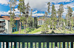 Silverthorne<br/>2 bd /2 bath condo in Wildernest - utilities, cable, internet included!