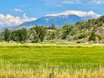 Paonia<br/>River Springs Ranch - 72 acres