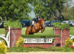 Twin Acres<br/>BRAND NEW Premier Hunter Jumper Equine Facility has openings