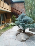 Aspen-Core<br/>Ski-in, studio, steps to town and gondola