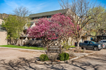 Glenwood Springs<br/>The Perfect Urban Basecamp