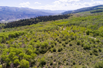 Wolcott, CO<br/>284 Acres