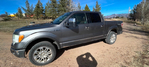 Ford F150 Platinum  2010