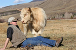 Silverthorne<br/>Summit Sky Ranch Home