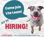 Animal Care Positions - Colorado Animal Rescue (C.A.R.E.)