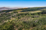 Gypsum<br/>Royal Elk Ranch | MLS# 1012719