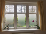 Tint, Viny & ppf<br/>Residential Window Film Services
