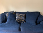 Free Sleeper Sofa
