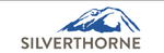 PUBLIC WORKS DIRECTOR - Town of Silverthorne