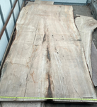 Kiln dried silver maple slab<br/>Kiln dried silver maple slab