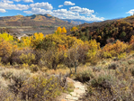 Aspen<br/>1BD 1BA Brush Creek carriage house