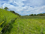 Paonia<br/>River Springs Ranch - 72 acres