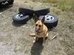 Dodge 2500 8 Lug 16" Wheels