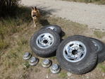 Dodge Ram Parts 2nd & 3rd Generation