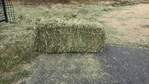 Mountain grass hay<br/>EXCELLENT CUTTING