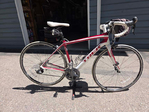 Bicycle<br/>TREK Domane