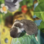 AKC Newfie Puppies<br/>9 of 11 AKC Newfoundland Puppies