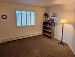 Basalt <br/>Partially Furnished Basalt Condo