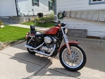 2004 Harley Davidson Motorcycle Sportster 883 Red/Black<br/>Ready to Ride