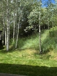 Snowmass Village<br/>Commercial Spaces