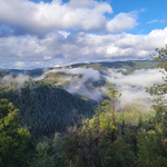 Washington CA in NV County<br/>For sale/lease 37 acres on Canyon Creek, fractional ownership