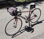 Bicycle<br/>TREK Domane