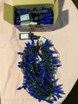 Holiday lights, blue, 2 strings.