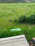 Aspen <br/>Studio On Open Space