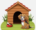 Fun Animal Care Job - Carbondale Kennel