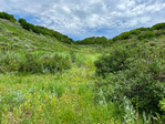 Steamboat Springs<br/>Affordable Land for Sale