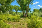 Paonia<br/>River Springs Ranch - 72 acres