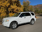 Ford Escape Hybrid 2009