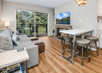 Lionshead<br/>1 BD | 1 BA | 506 SF | MLS#: 1014120