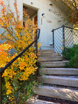 Aspen<br/>1BD 1BA Brush Creek carriage house