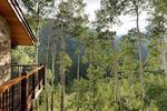 Aspen<br/>Alpine Rental Sanctuary Minutes from Aspen