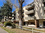 Aspen<br/>Penthouse 2/2, Excellent location. Ajax Views, Garage. Elevator. Fireplace. Washer/Dryer. outdoor Hot Tub.