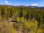 Fairplay<br/>39+ Acres w/Private Nordic Ski Trail