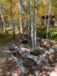 Aspen<br/>1BD 1BA Brush Creek carriage house