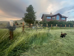 Mountain grass hay<br/>EXCELLENT CUTTING