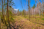 Silverthorne<br/>.50 Acre Lot