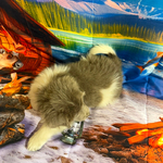 AKC Gray Newfoundland<br/>AKC Newfie Puppy - Pink - Female (Nippet)
