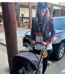 Longhair Dachshund AKC pups!<br/>DNA Tested AKC registered trained pups! 11 wks old!