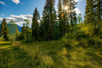 Basalt<br/>123 Wapiti Way