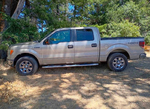Ford Ford F-150  2010